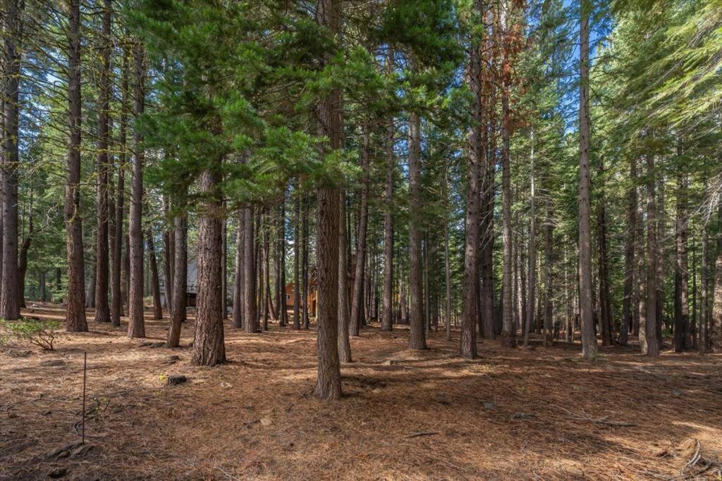 3Br Tahoe Donner Cabin With Hoa Perks Like Pools Hot-Tub Minutes To Trails Lake Golf Truckee Exterior foto